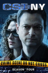 CSI: Место преступления Нью-Йорк 4 сезон