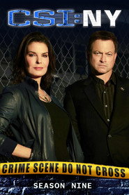 CSI: Место преступления Нью-Йорк 9 сезон