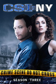 CSI: Место преступления Нью-Йорк 3 сезон