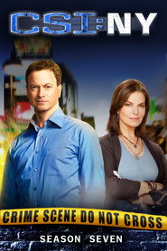 CSI: Место преступления Нью-Йорк 7 сезон