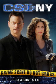 CSI: Место преступления Нью-Йорк 6 сезон