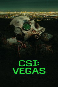 CSI: Вегас 1 сезон