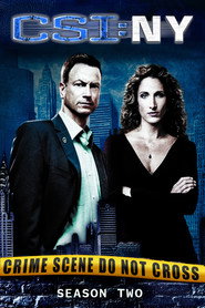 CSI: Место преступления Нью-Йорк 2 сезон