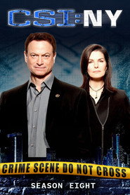 CSI: Место преступления Нью-Йорк 8 сезон