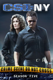 CSI: Место преступления Нью-Йорк 5 сезон