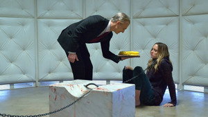 Штамм: 2x11