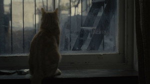 Внутри Льюина Дэвиса