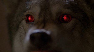 Секретные материалы: 6 сезон 16 серия