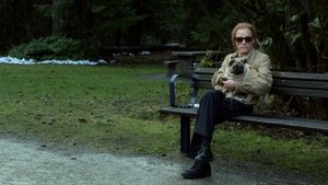 Грань: 4x15
