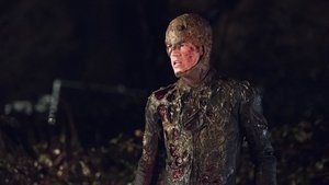Флэш: 1x14