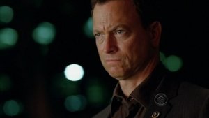 CSI: Место преступления Нью-Йорк: 5x5