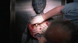 Секретные материалы: 4x24