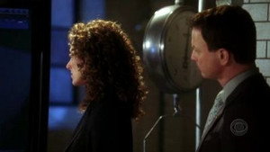 CSI: Место преступления Нью-Йорк: 1x16