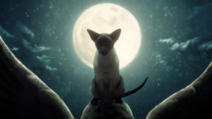 Песочный человек: 1 сезон 11 серия