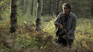 40 Акров