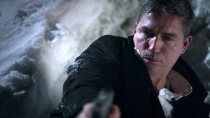 В поле зрения: 4x20