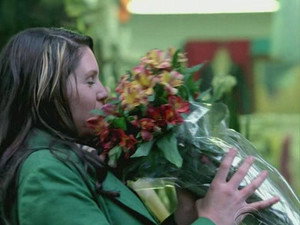 CSI: Место преступления Нью-Йорк: 4x13