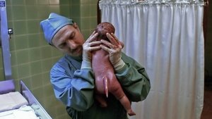 Секретные материалы: 4x20