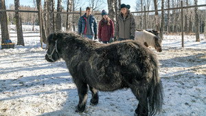 Хартленд: 9 сезон 17 серия