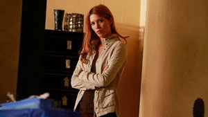 Агенты «Щ.И.Т.»: 2 сезон 21 серия