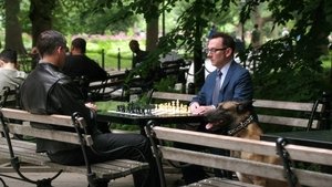 В поле зрения: 4x1