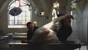 CSI: Место преступления Нью-Йорк: 1x14