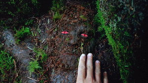Секретные материалы: 5 сезон 4 серия