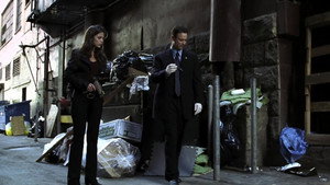 CSI: Место преступления Нью-Йорк: 1x2
