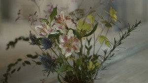 Портрет девушки в огне