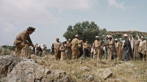 Палестина 36