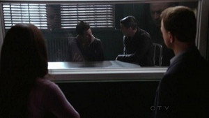 CSI: Место преступления Нью-Йорк: 9x12