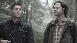 Сверхъестественное: 13x21