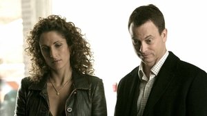 CSI: Место преступления Нью-Йорк: 2x10