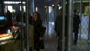 CSI: Место преступления Нью-Йорк: 1x15