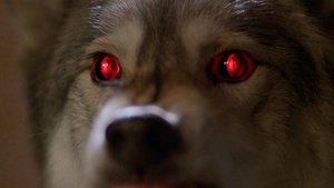 Секретные материалы: 6x16
