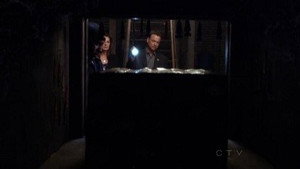 CSI: Место преступления Нью-Йорк: 9x5
