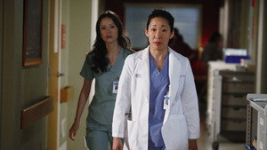 Анатомия страсти: 8 сезон 17 серия