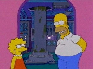 Симпсоны: 10 сезон 16 серия