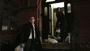 В поле зрения: 4x22