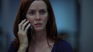 24 часа: 7x19