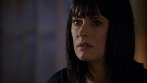 Мыслить как преступник: 6x14