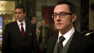 В поле зрения: 2x15