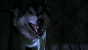 Хартленд: 3x11