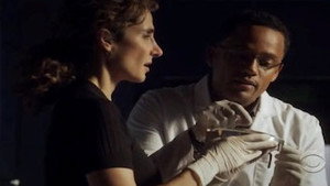 CSI: Место преступления Нью-Йорк: 6x9
