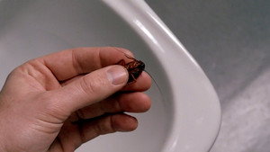 Секретные материалы: 3 сезон 12 серия