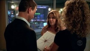CSI: Место преступления Нью-Йорк: 3x1