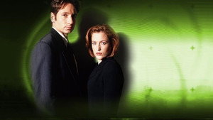Секретные материалы
