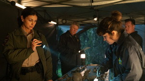 Шериф округа: 1x15