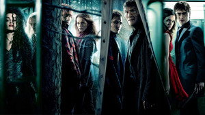 Гарри Поттер и Дары Смерти: Часть I