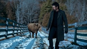 Пацаны: 4 сезон 5 серия